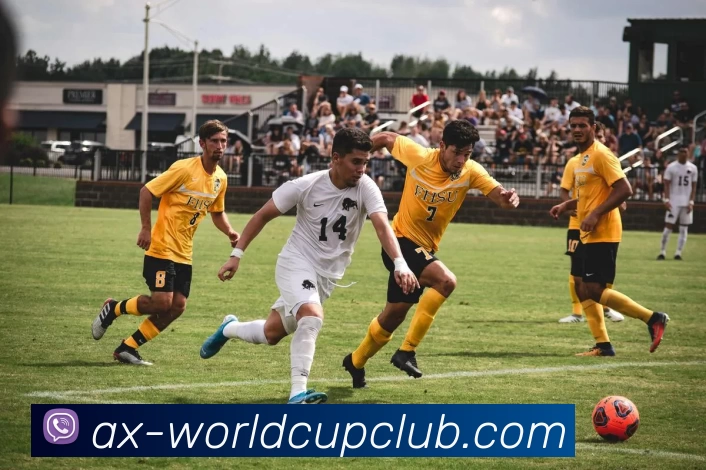 世界杯APP下载品牌故事